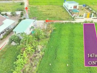 Đất đẹp 5x30  (147m2)  đức tân, huyện tân trụ, long an