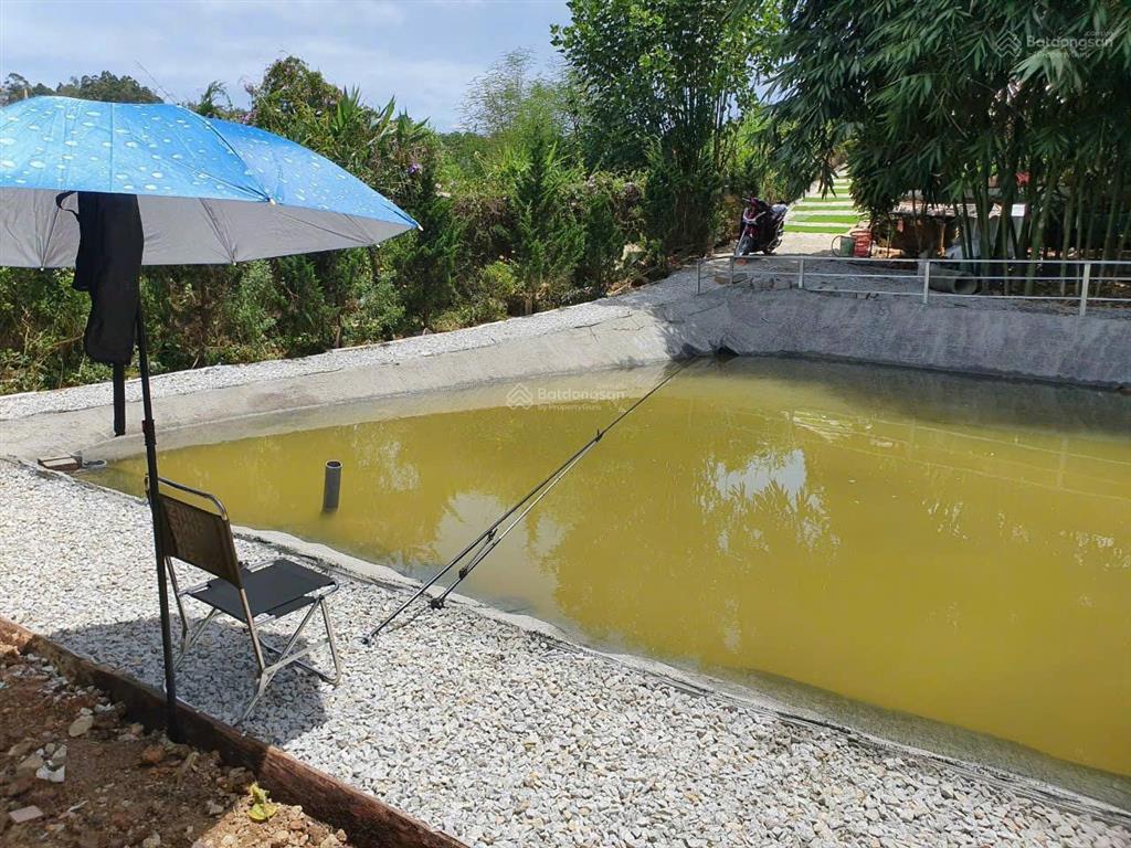 Giảm ngay 5 tỷ chính chủ bán đất đà lạt giá rẻ dt 1600m2 có 300m2 thổ cư sẵn homestay siêu đẹp