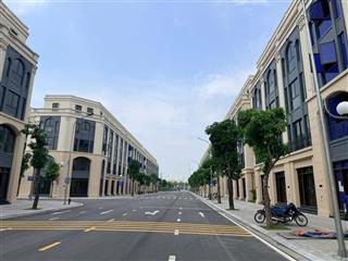 Chính chủ cần bán cắt lỗ cặp bt liền kề tp4 trục đường 25m kinh doanh tốt tại vinhomes cổ loa.