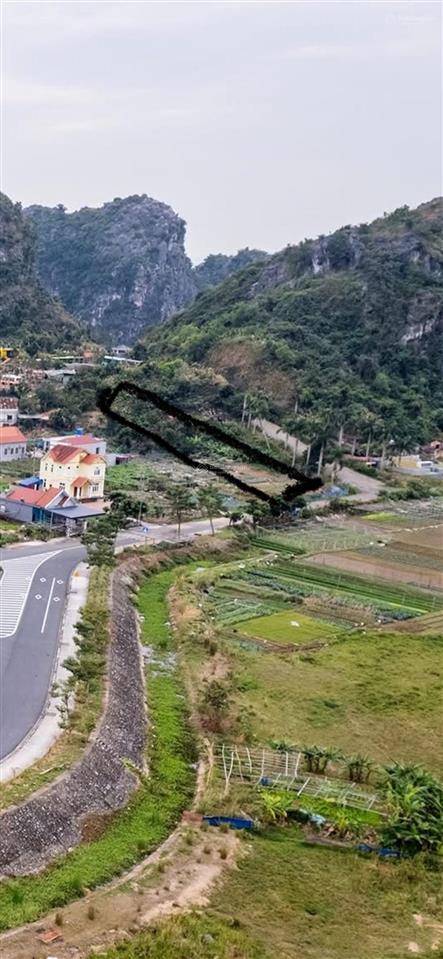 Chính chủ cần bán lô đất 451m2 mặt đường 356, xuân đám, đặc khu cát hải