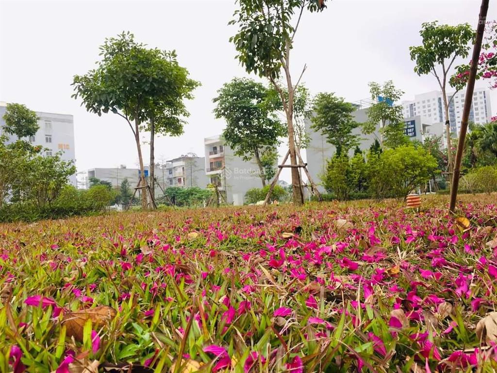 Bán nhà riêng tại nam hy hoàng phong, 7,9 tỷ, 50m2, 2pn, 2wc, đẹp!