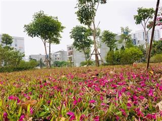 Bán nhà riêng tại nam hy hoàng phong, 7,9 tỷ, 50m2, 2pn, 2wc, đẹp!