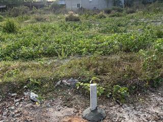 Cần bán lô đất 520m2 ngay cổng sân bay long thành. cạnh chợ bình sơn. sổ hồng riêng