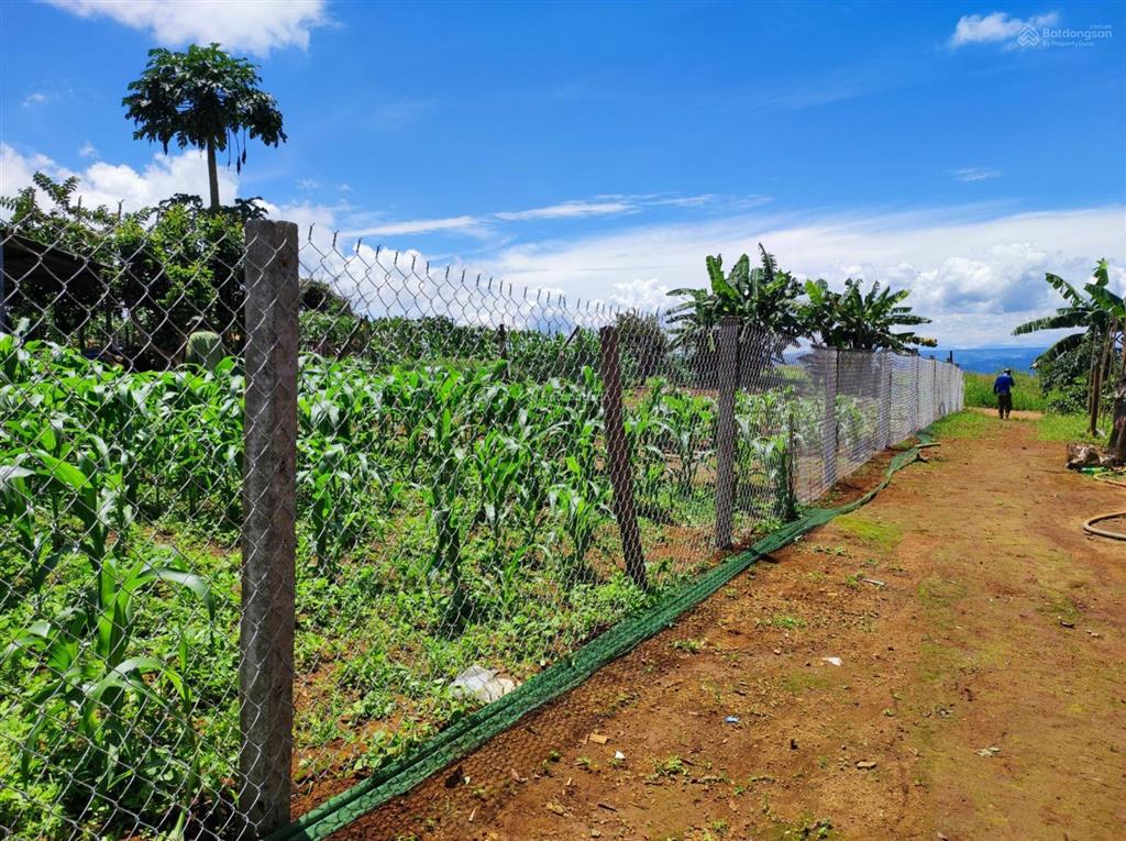 Bán lô đất có sẵn thổ cư đẹp tại kdl tà đùng, 1,68 tỷ, 1500m2, pháp lý đầy đủ