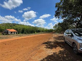 Chủ bán nhanh 5 sào điều già 5000m2 (50* 100). 175 triệu/sào, đường 19m, sổ sẵn, đồng phú