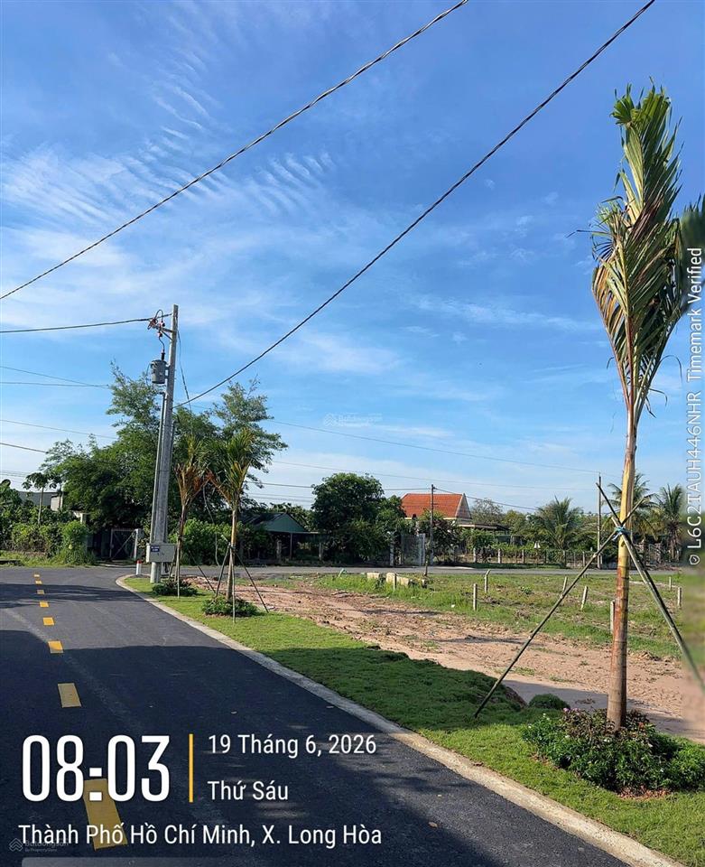 Mặt tiền nhựa dầu tiếng  tphcm, 251.6m² (5x50m) ont 100m2, (190 triệu công chứng) sổ sẵn