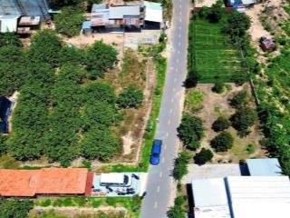 Vườn bưởi tthc bàu bàng 260m2 (5* 52).tc 100m2.200 triệu cc ,sổ sẵn, 1 sẹc ql13