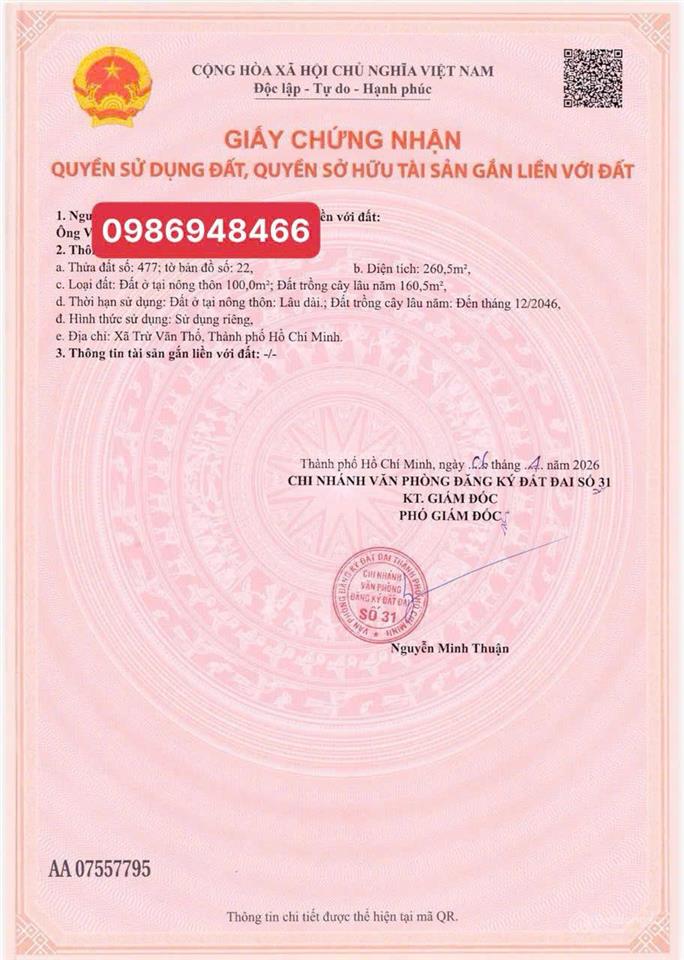 Vườn bưởi tthc bàu bàng 260m2 (5* 52).tc 100m2.200 triệu cc ,sổ sẵn, 1 sẹc ql13
