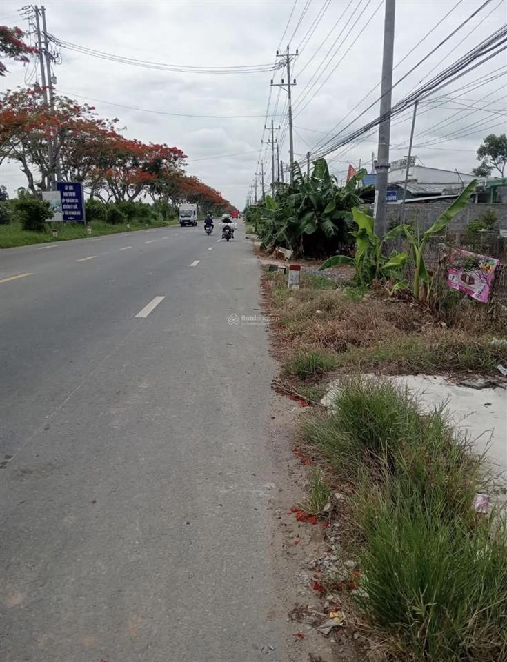 Bán 1.500m2 có thổ cư mặt tiền 11m giá 11.8ty nằm đường lớn ql80 xã bình thành lấp vò 0937 600 ***