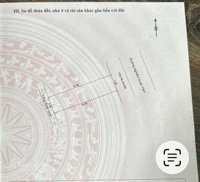 Bán lô nghiêm xuân yêm giai đoạn 1 nam việt á