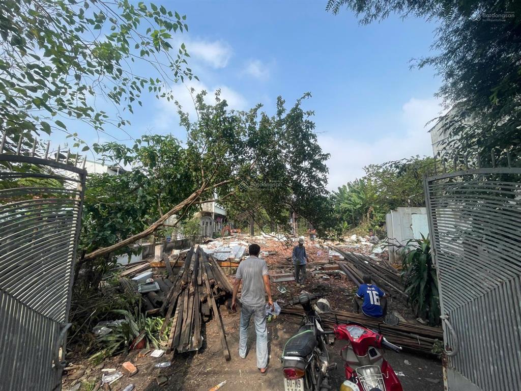 Đất dài 5x48m hẻm xe hơi thông phan văn đối giá tốt 8,2 tỷ