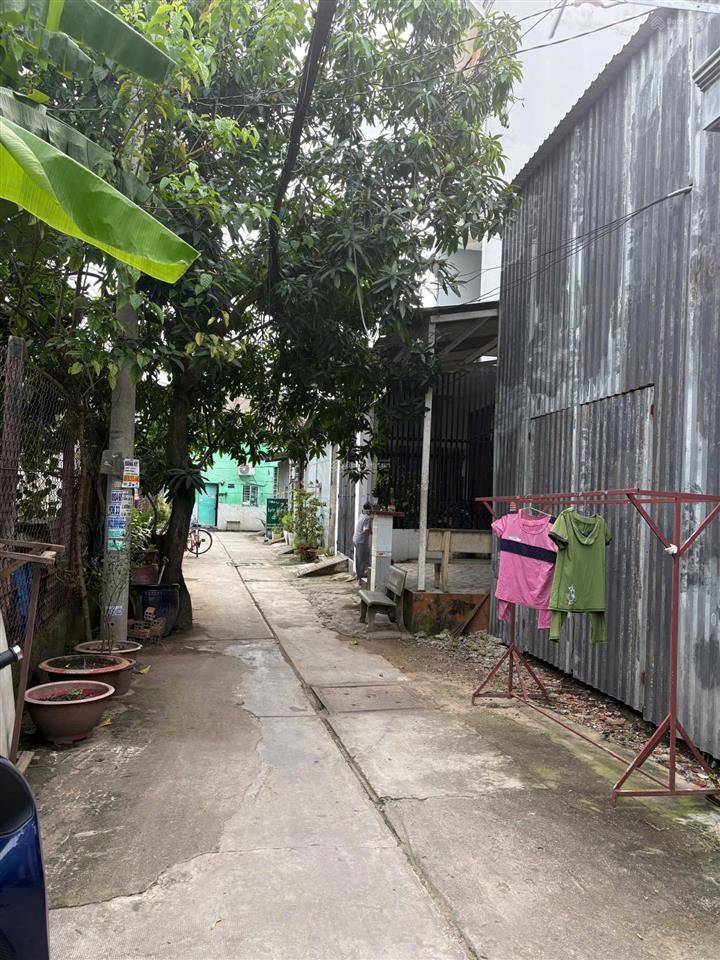 Bán đất đường hồ văn long  tân tạo, bình tân
