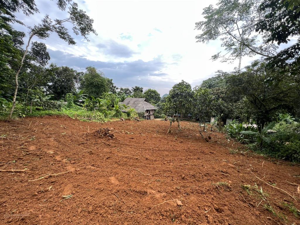 Bán đất tại xã nhân mỹ, tân lạc, hòa bình, 608 m2 giá ưu đãi chỉ với 450 triệu