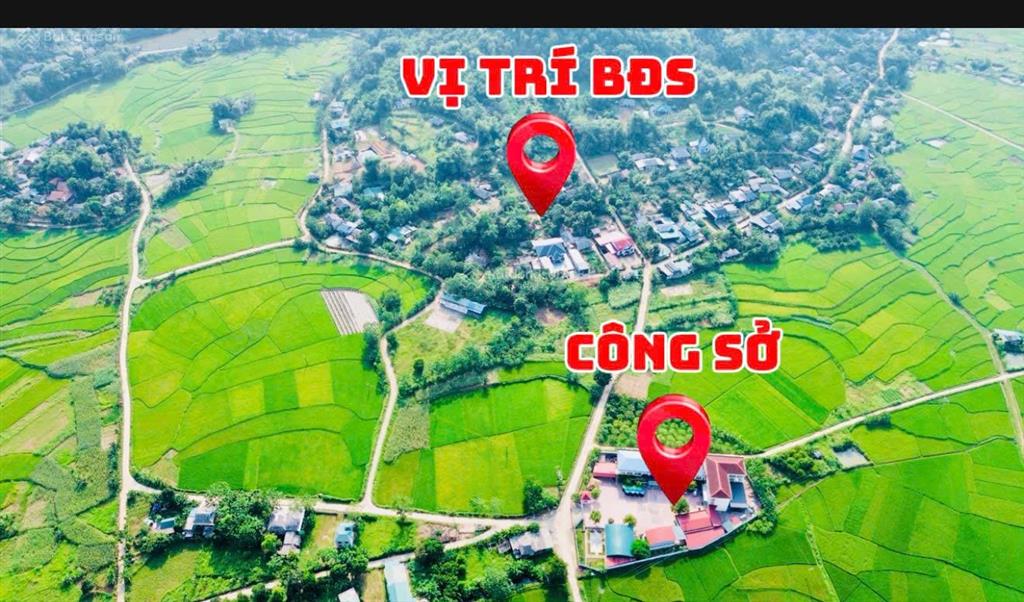 Bán đất tại xã nhân mỹ, tân lạc, hòa bình, 608 m2 giá ưu đãi chỉ với 450 triệu