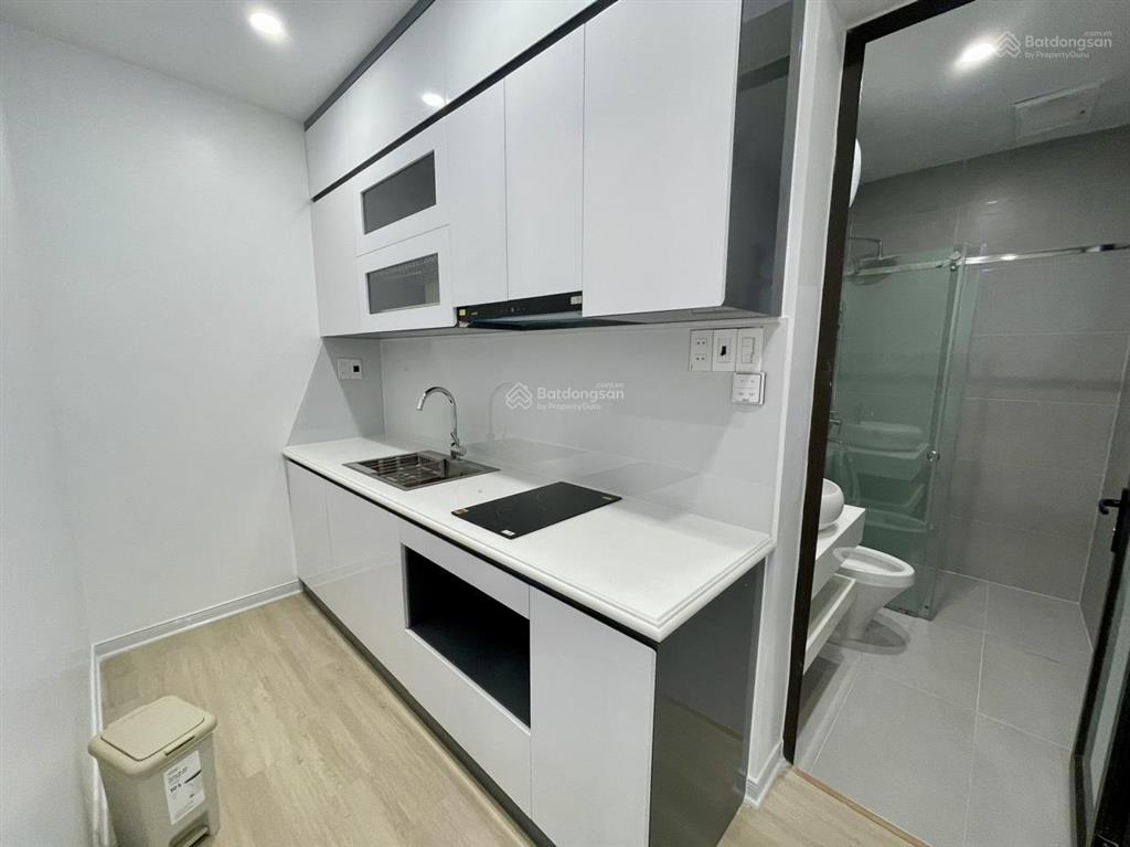 Cho thuê căn hộ cao cấp waterfront city, 1 phòng ngủ (studio) 35m2.