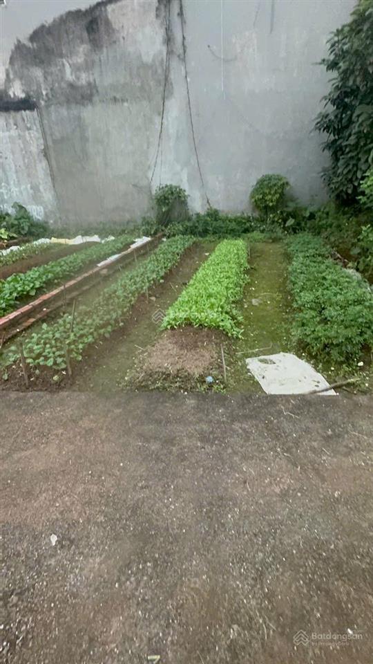 Chính chủ cần tiền bán thị trấn phúc thọ dt 44,5m ô tô đổ cửa