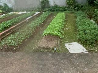 Chính chủ cần tiền bán thị trấn phúc thọ dt 44,5m ô tô đổ cửa