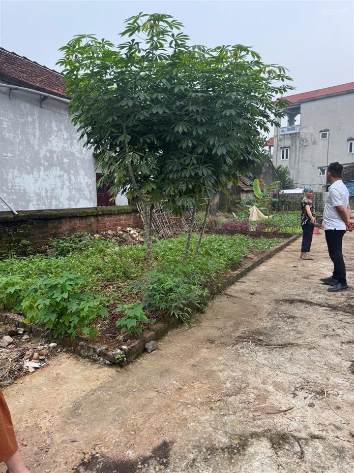 Tôi cần bán đất 40m trạch lôi  phúc thọ  hà nội