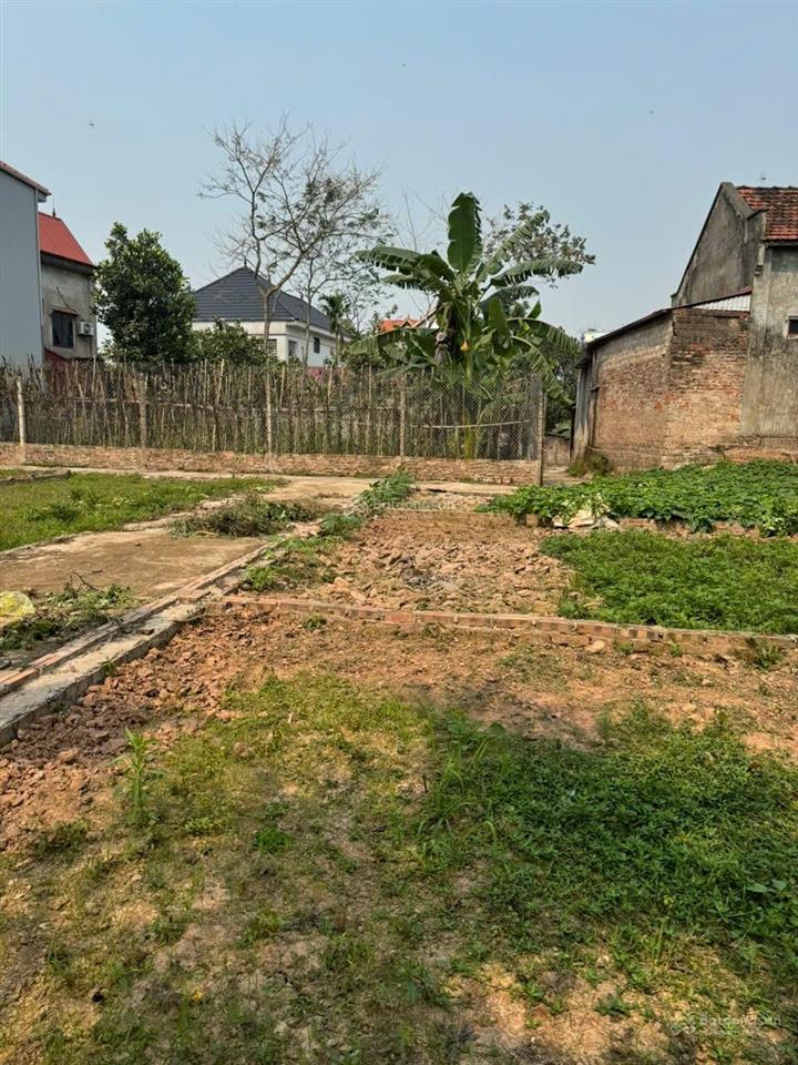 Tôi cần bán đất 40m trạch lôi  phúc thọ  hà nội
