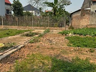 Tôi cần bán đất 40m trạch lôi  phúc thọ  hà nội