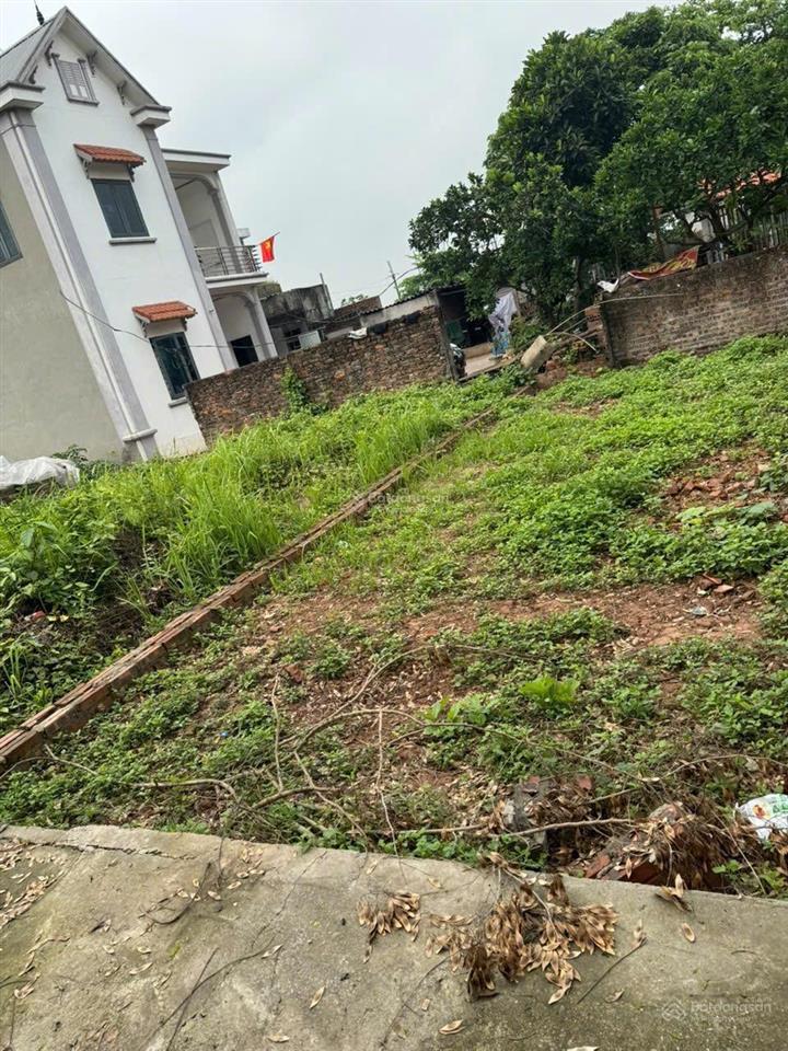 Chính chủ cần tiền bán 40m ngọc tảo, giá rẻ nhất thị trường