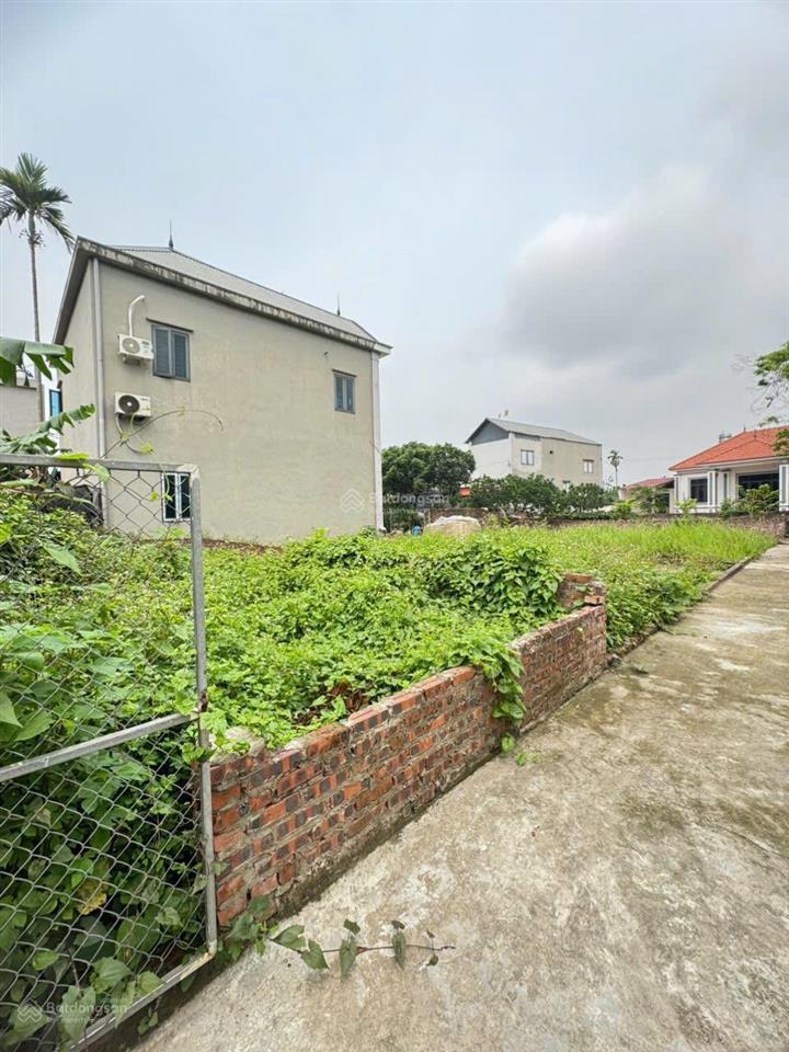 Chính chủ cần tiền bán 40m ngọc tảo, giá rẻ nhất thị trường