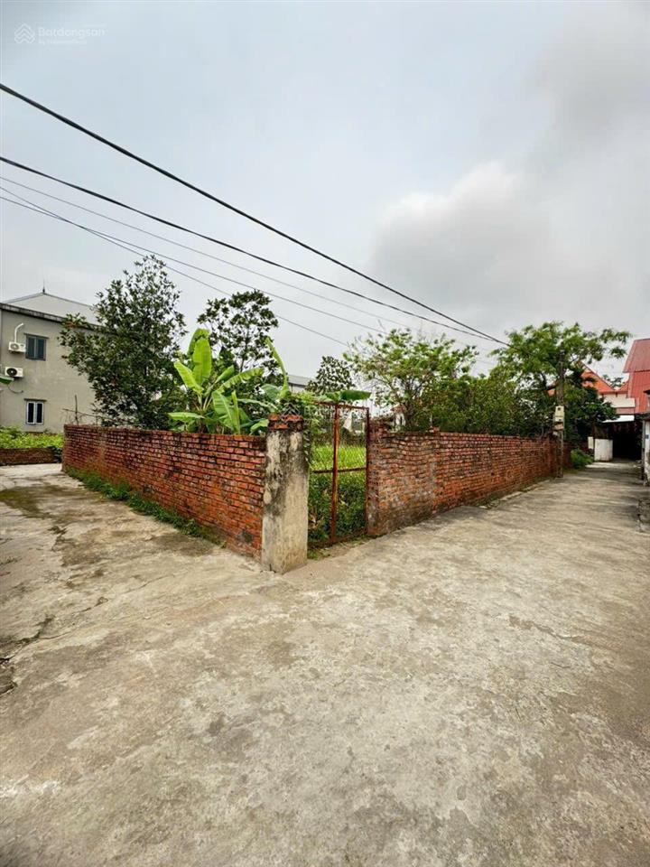 Chính chủ cần tiền bán 40m ngọc tảo, giá rẻ nhất thị trường