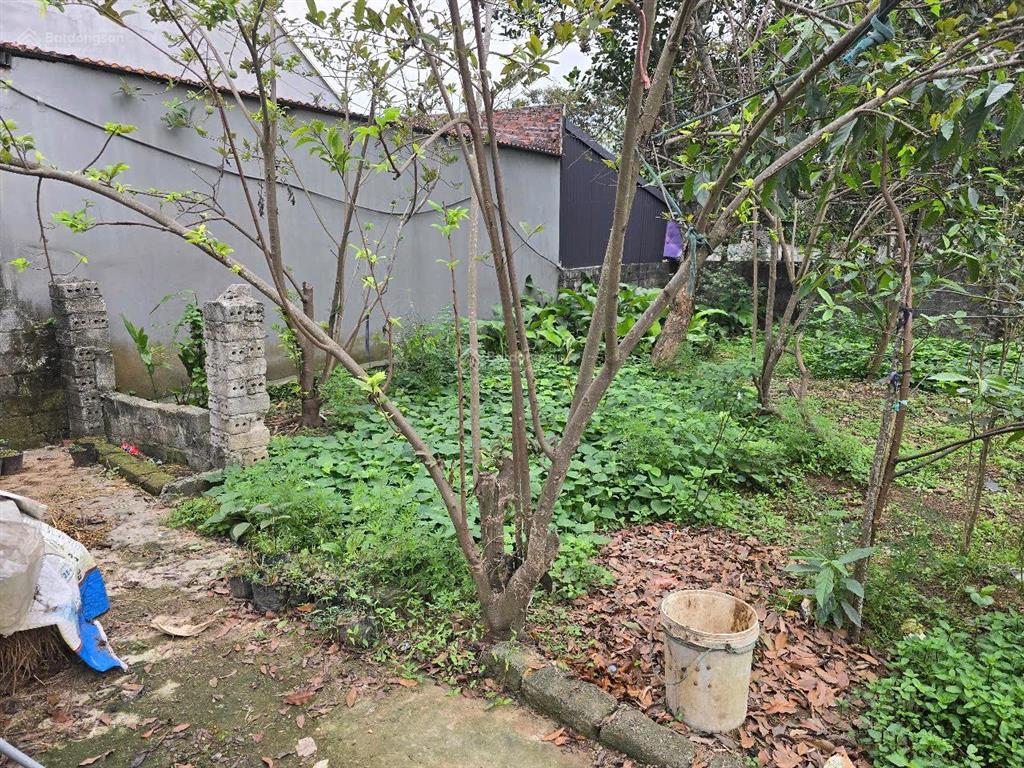 Chính chủ bán đất mỹ giang diện tích 52m2  giá tham khảo tốt trong khu vực