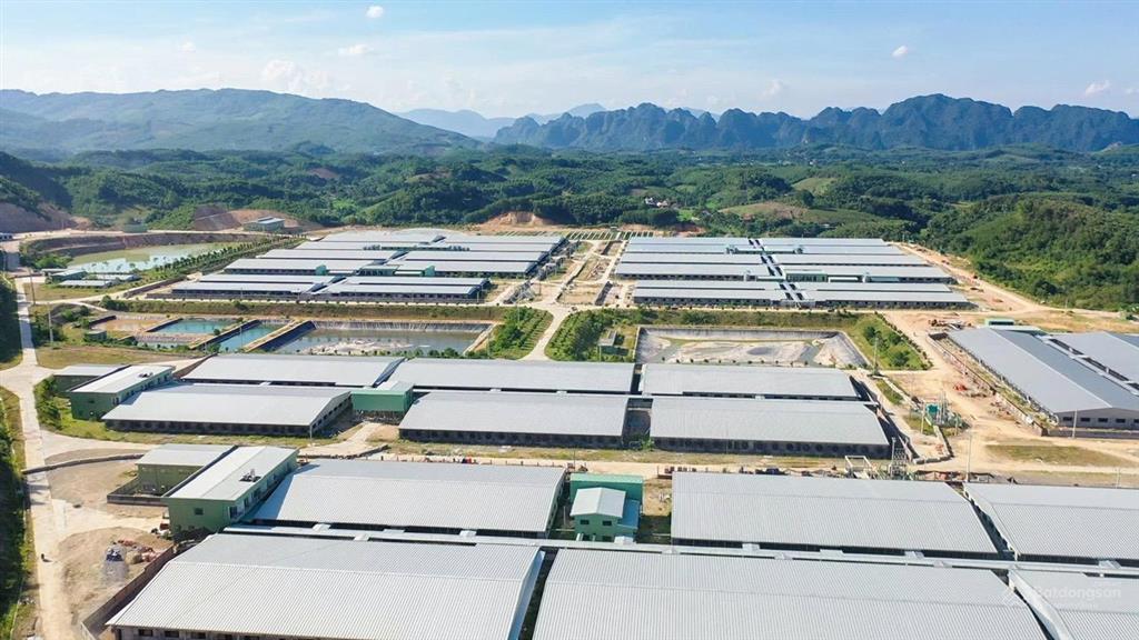 Chính chủ cần tiền bán mảnh đất kiên thọ  thanh hóa  giá rẻ trên thị trường