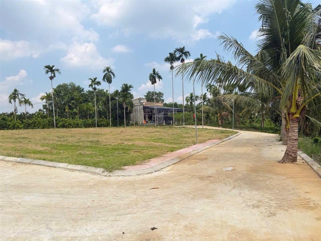 Chính chủ cần tiền bán mảnh đất kiên thọ  thanh hóa  giá rẻ trên thị trường