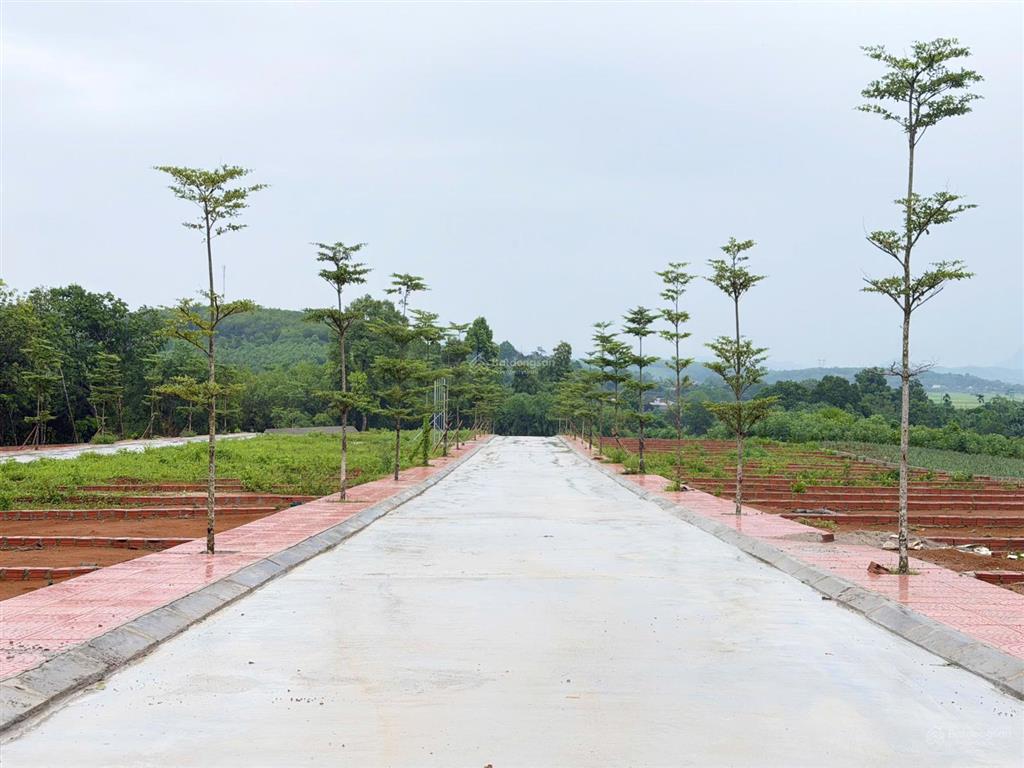 Tôi chính chủ phân lô bán khu đất nền long phú  thọ cường  thanh hóa