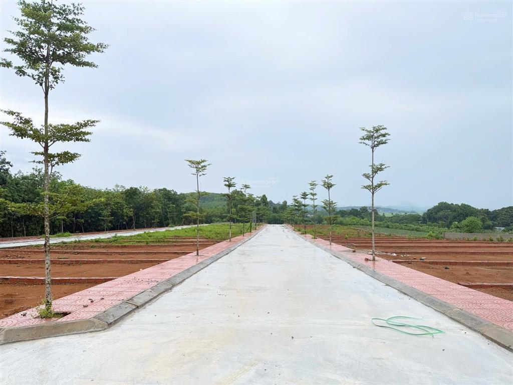 Tôi chính chủ phân lô bán khu đất nền long phú  thọ cường  thanh hóa