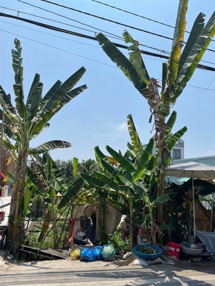 Bán đất dân cư hiện hữu 302m2 mt thích thiện hòa giá 6.5ti