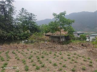 Siêu phẩm cao sơn, đà bắc, phú thọ / 7.199m2 có 400m2 thổ cư giá cực tốt