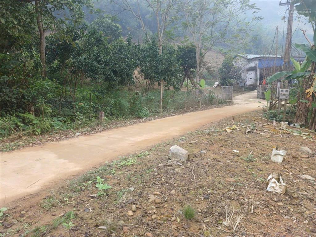 Bán đất cao thoáng, view cánh đồng & cao tốc