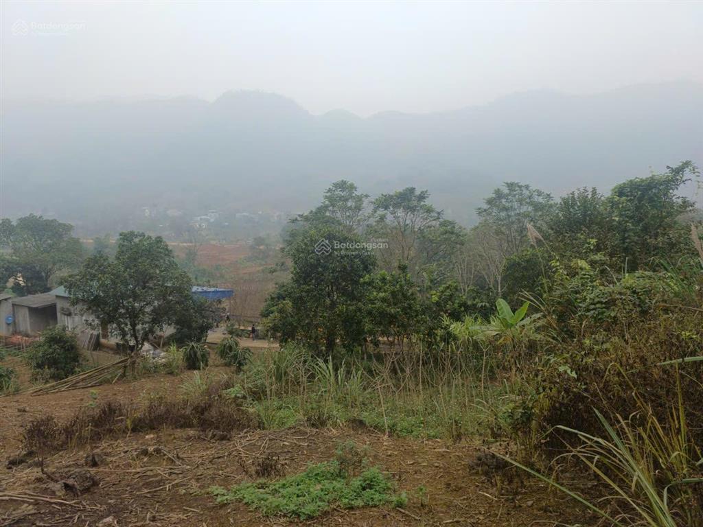 Bán đất cao thoáng, view cánh đồng & cao tốc