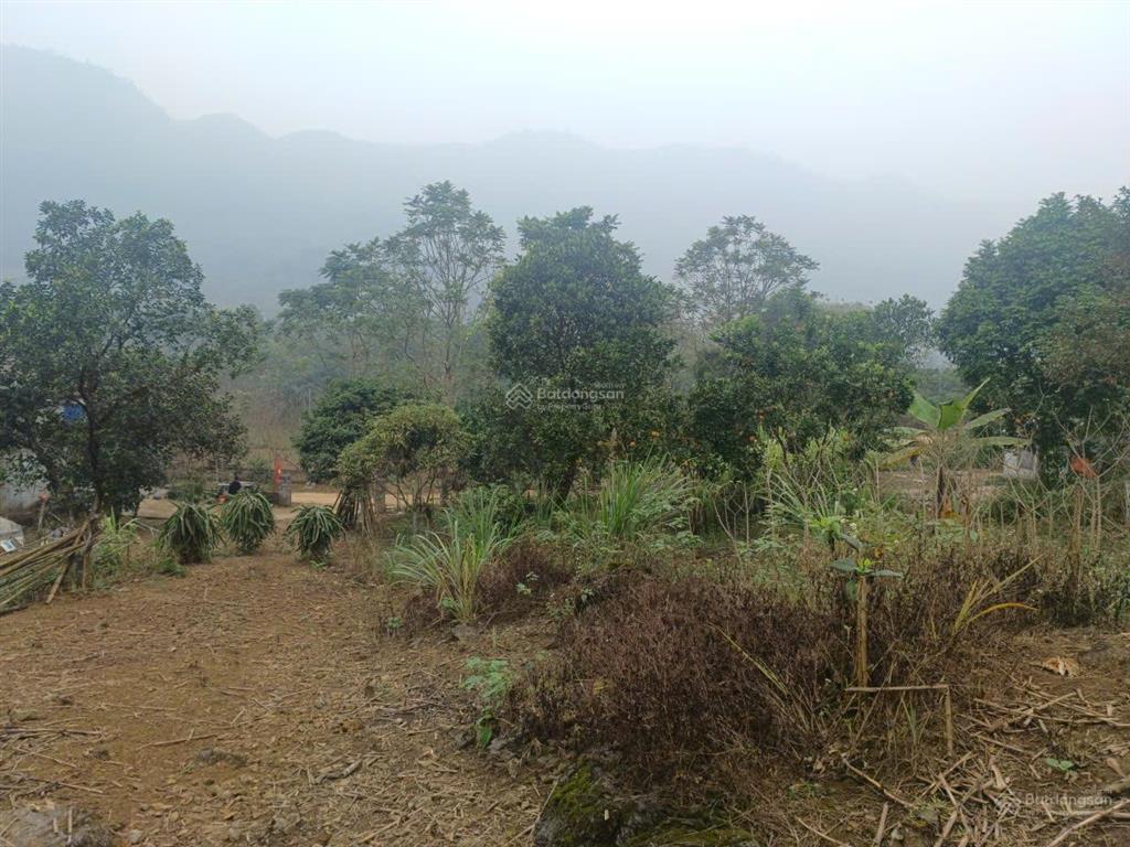 Bán đất cao thoáng, view cánh đồng & cao tốc