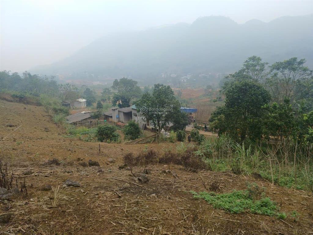 Bán đất cao thoáng, view cánh đồng & cao tốc