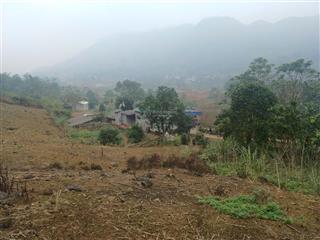 Bán đất cao thoáng, view cánh đồng & cao tốc