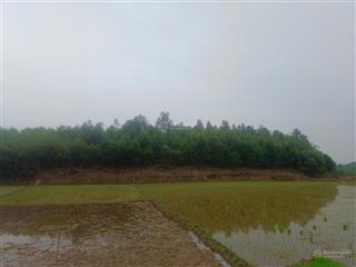 Đất nhà vườn yên mông  không gian sống xanh hiếm có