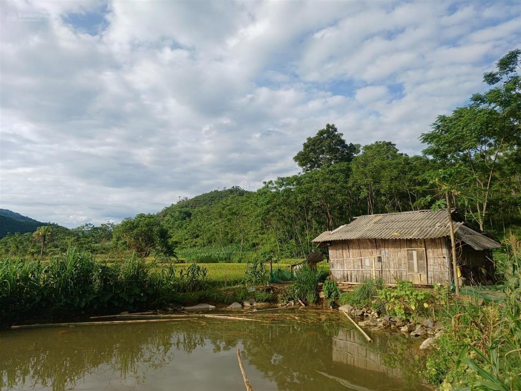 Bán lô đất view cánh đồng & đồi núi tuyệt đẹp tại cao sơn, đà bắc