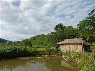 Bán lô đất view cánh đồng & đồi núi tuyệt đẹp tại cao sơn, đà bắc