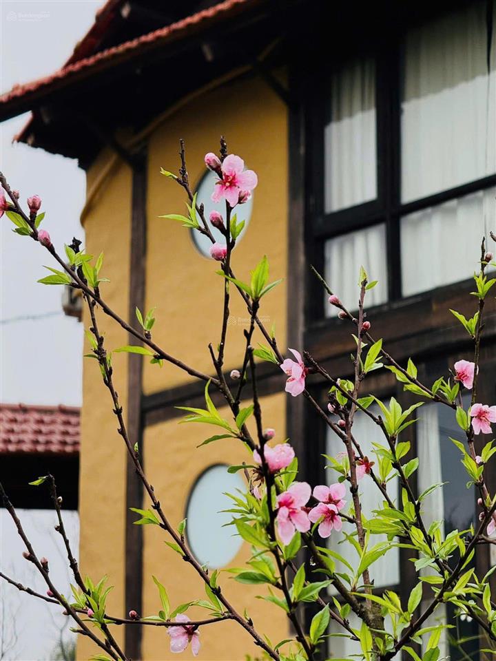 Bán căn nhà nghỉ dưỡng view đẹp tại xóm gù, xã đà bắc, tỉnh phú thọ
