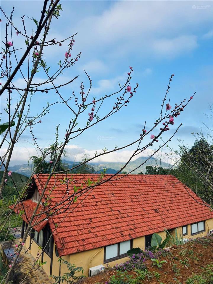 Bán căn nhà nghỉ dưỡng view đẹp tại xóm gù, xã đà bắc, tỉnh phú thọ