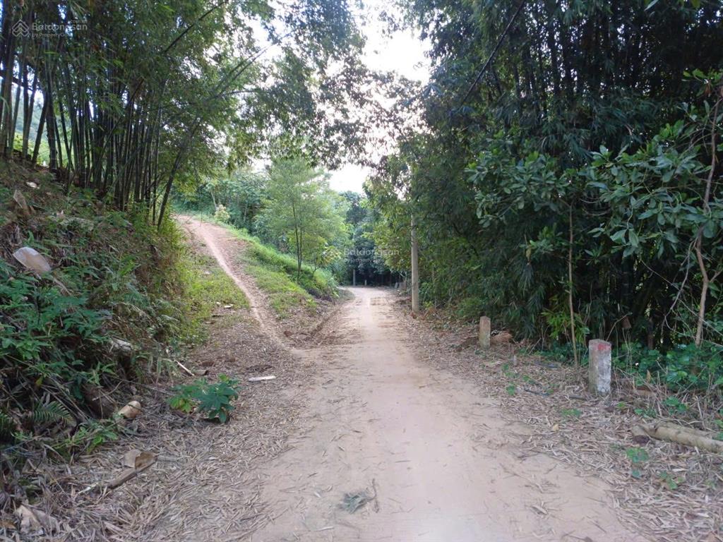 Chủ nhà giảm giá sâu  lô đất view hồ hòa bình tại đà bắc, phú thọ