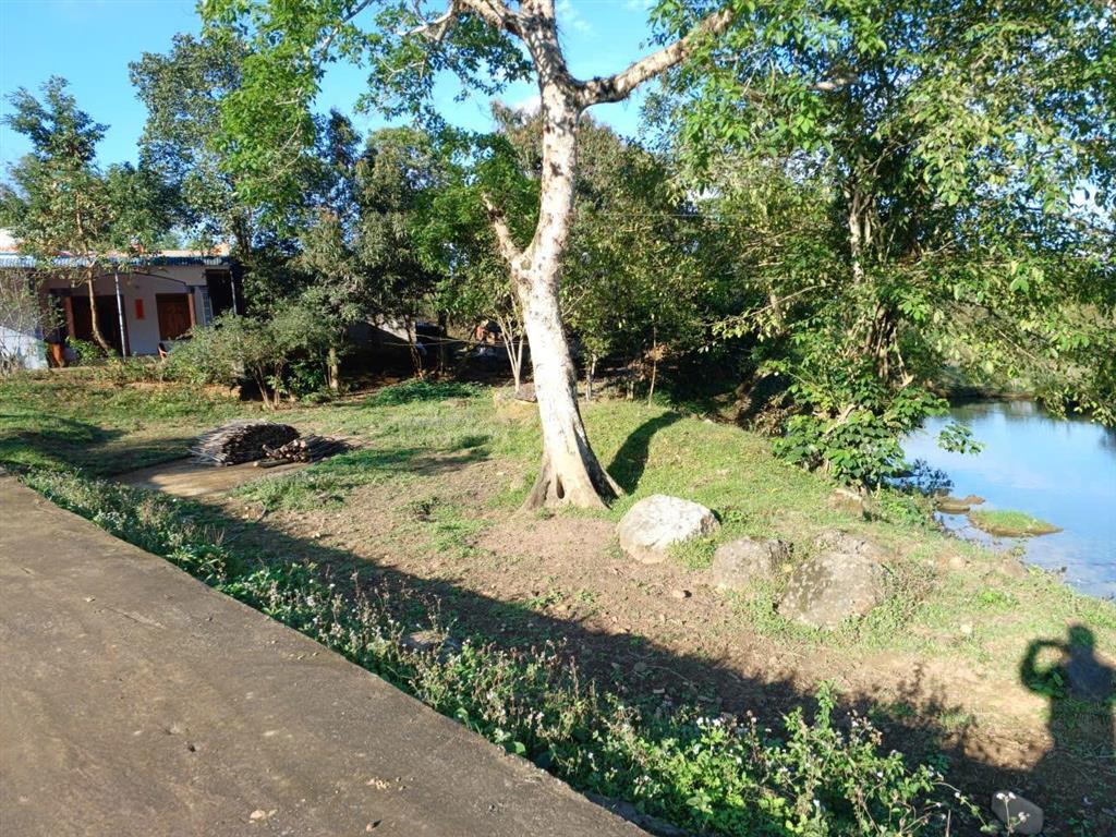 Bán lô đất thổ cư view cánh đồng xanh mát  đà bắc, phú thọ