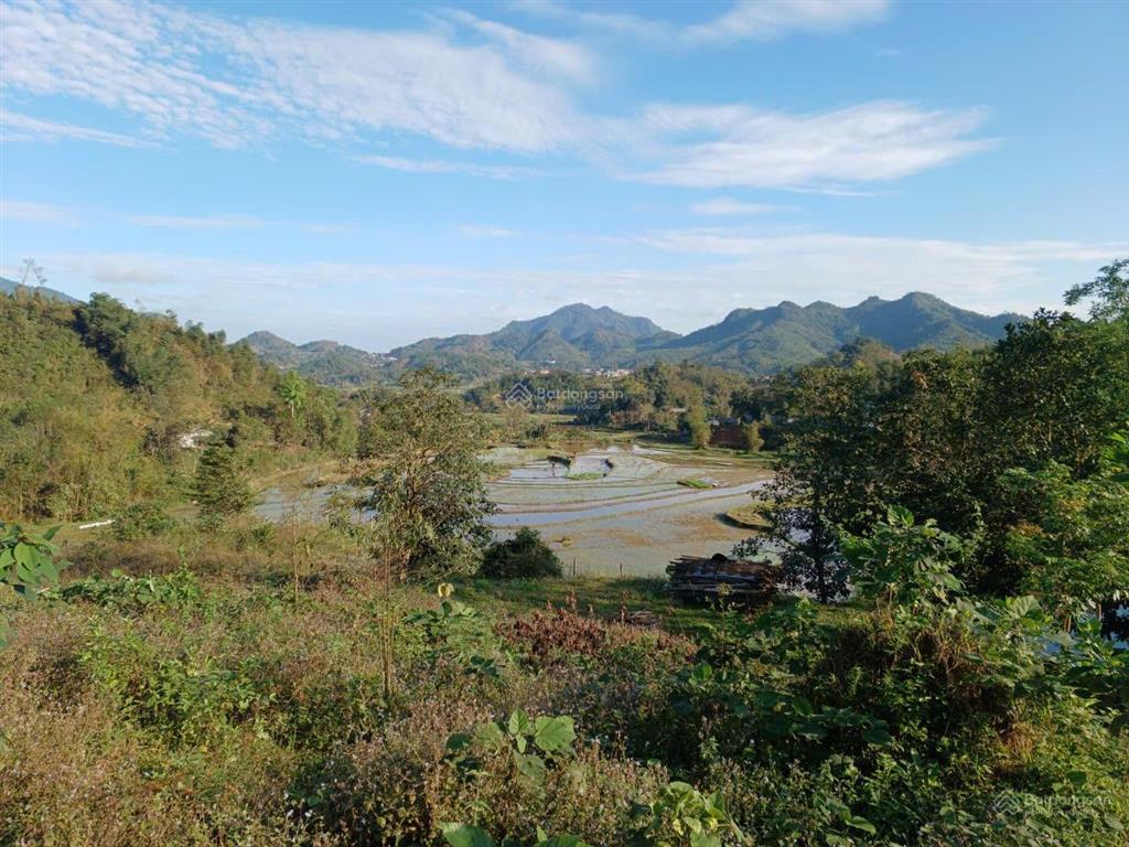 Bán lô đất thổ cư view cánh đồng xanh mát  đà bắc, phú thọ