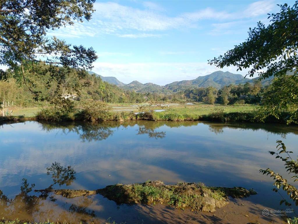 Bán lô đất thổ cư view cánh đồng xanh mát  đà bắc, phú thọ