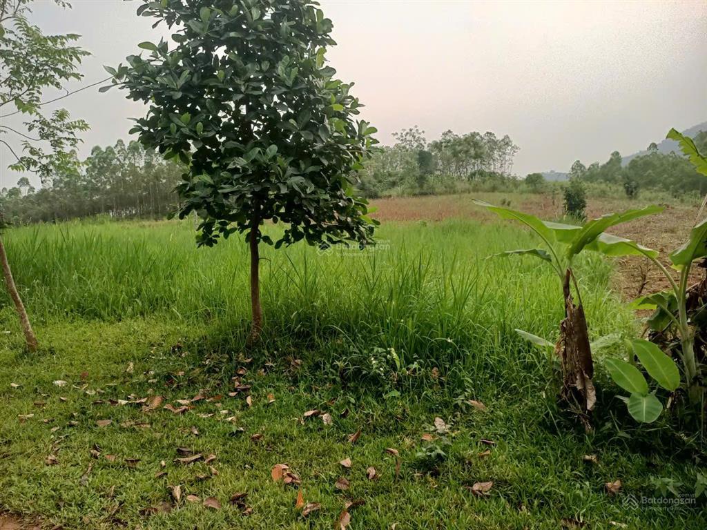 900m đất đẹp sẵn 300m đất ở đường rộng, thế đất đẹp chỉ cách hà nội khoảng 75km