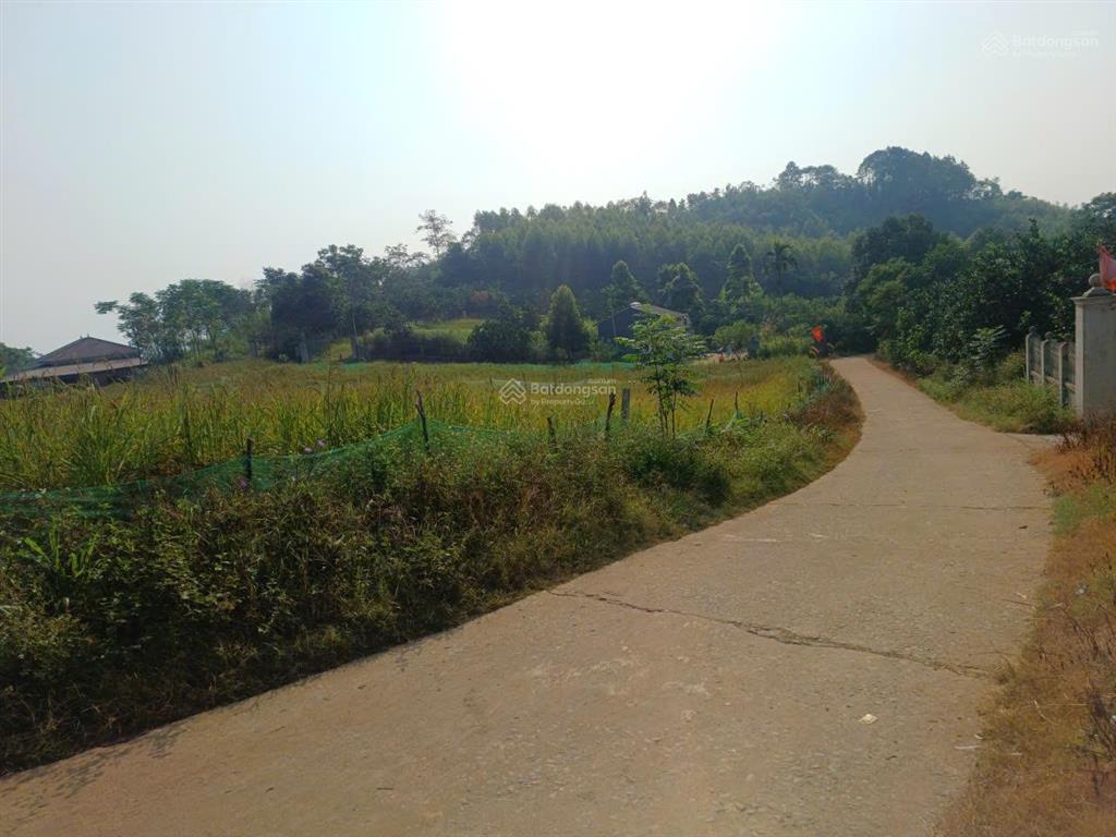Đất đẹp giá vừa túi tiền 299m, có 100m thổ cư